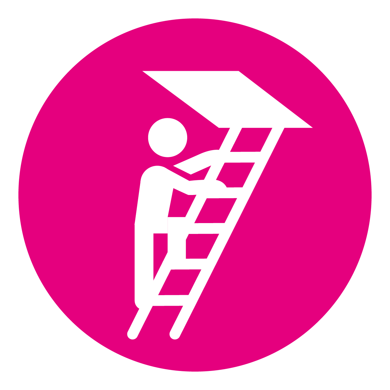 Loft Ladders